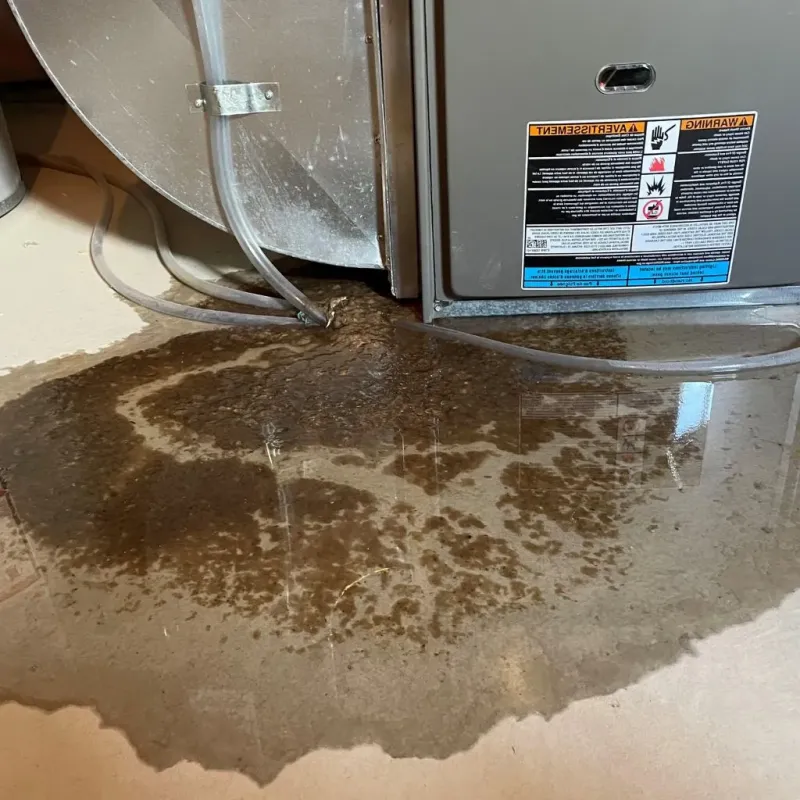 Pipe Burst and Leak Restoration in Dunmore, PA